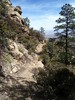 photo thumbnail #7