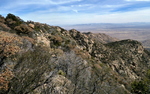 photo thumbnail #9