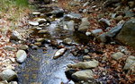 photo thumbnail #12