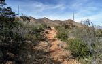 photo thumbnail #13