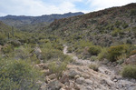 photo thumbnail #7