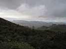 photo thumbnail #10