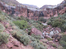 photo thumbnail #12