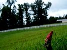 photo thumbnail #2