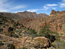 photo thumbnail #6