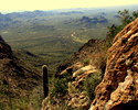 photo thumbnail #8
