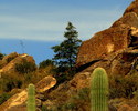 photo thumbnail #10