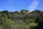 photo thumbnail #3