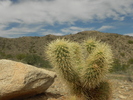 photo thumbnail #3