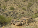 photo thumbnail #13