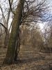 photo thumbnail #13