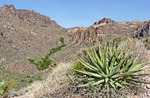 photo thumbnail #2