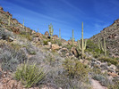 photo thumbnail #6