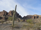 photo thumbnail #5