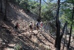 photo thumbnail #11