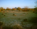 photo thumbnail #1