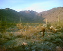 photo thumbnail #2