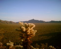 photo thumbnail #4