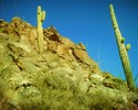 photo thumbnail #8