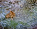photo thumbnail #15