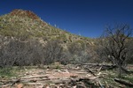 photo thumbnail #13
