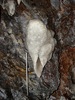 photo thumbnail #15