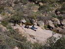 photo thumbnail #8