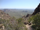 photo thumbnail #9