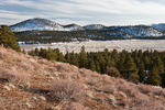 photo thumbnail #2