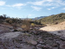 photo thumbnail #6