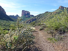 photo thumbnail #8
