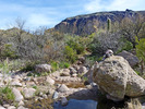 photo thumbnail #14