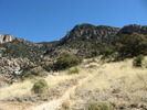 photo thumbnail #5