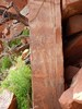 photo thumbnail #14
