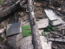 photo thumbnail #2