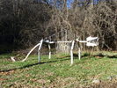 photo thumbnail #2