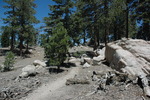 photo thumbnail #4