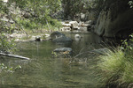 photo thumbnail #10