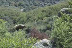 photo thumbnail #11