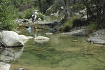 photo thumbnail #14