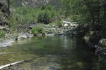 photo thumbnail #15