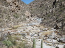 photo thumbnail #1