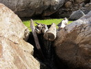photo thumbnail #9
