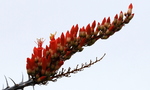 photo thumbnail #3