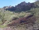 photo thumbnail #13