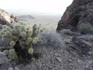 photo thumbnail #9