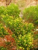 photo thumbnail #15