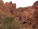photo thumbnail #9