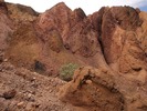 photo thumbnail #11