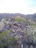 photo thumbnail #1